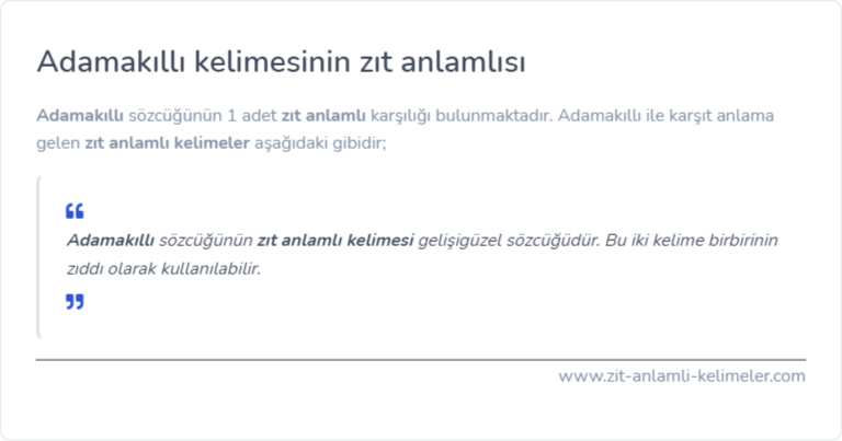 Adamakıllı kelimesinin zıt anlamı ne?