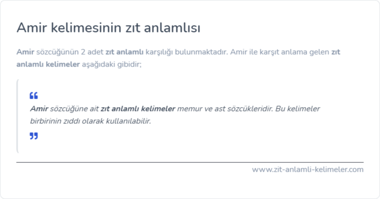 Amir kelimesinin zıt anlamı ne?