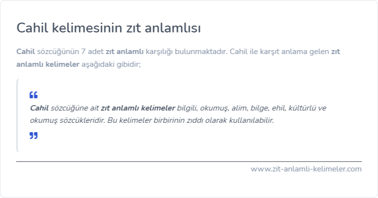 Cahil zıt anlamı nedir?