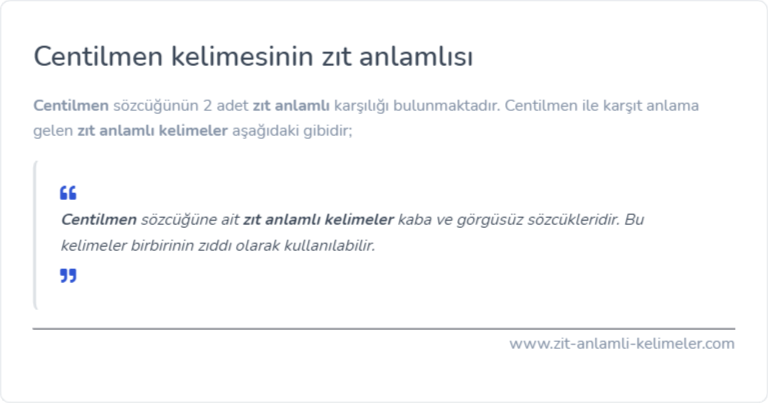 Centilmen zıt anlamı nedir?