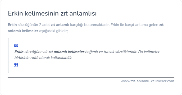 Erkin kelimesinin zıt anlamı